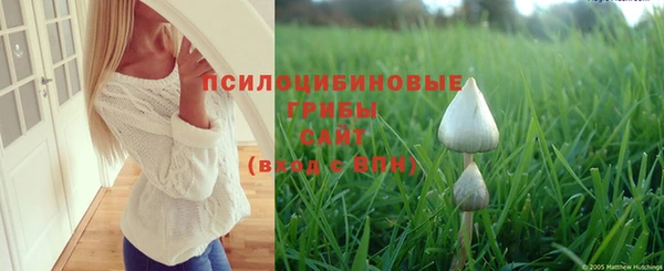 прущий лед Горно-Алтайск