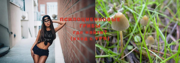 прущий лед Касимов