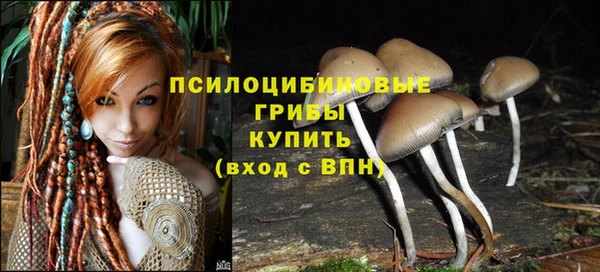 прущий лед Карпинск