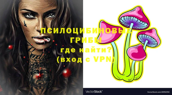 прущий лед Касимов