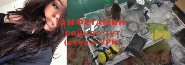 прущие грибы Кинешма